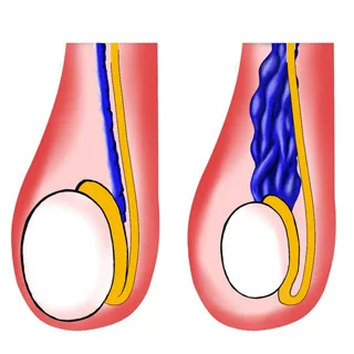 i (49) 1.jpg