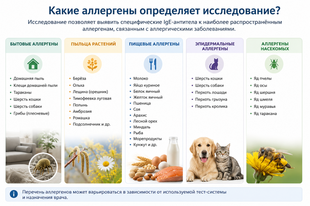 ChatGPT Image 14 июл. 2026 г., 15_16_53.png